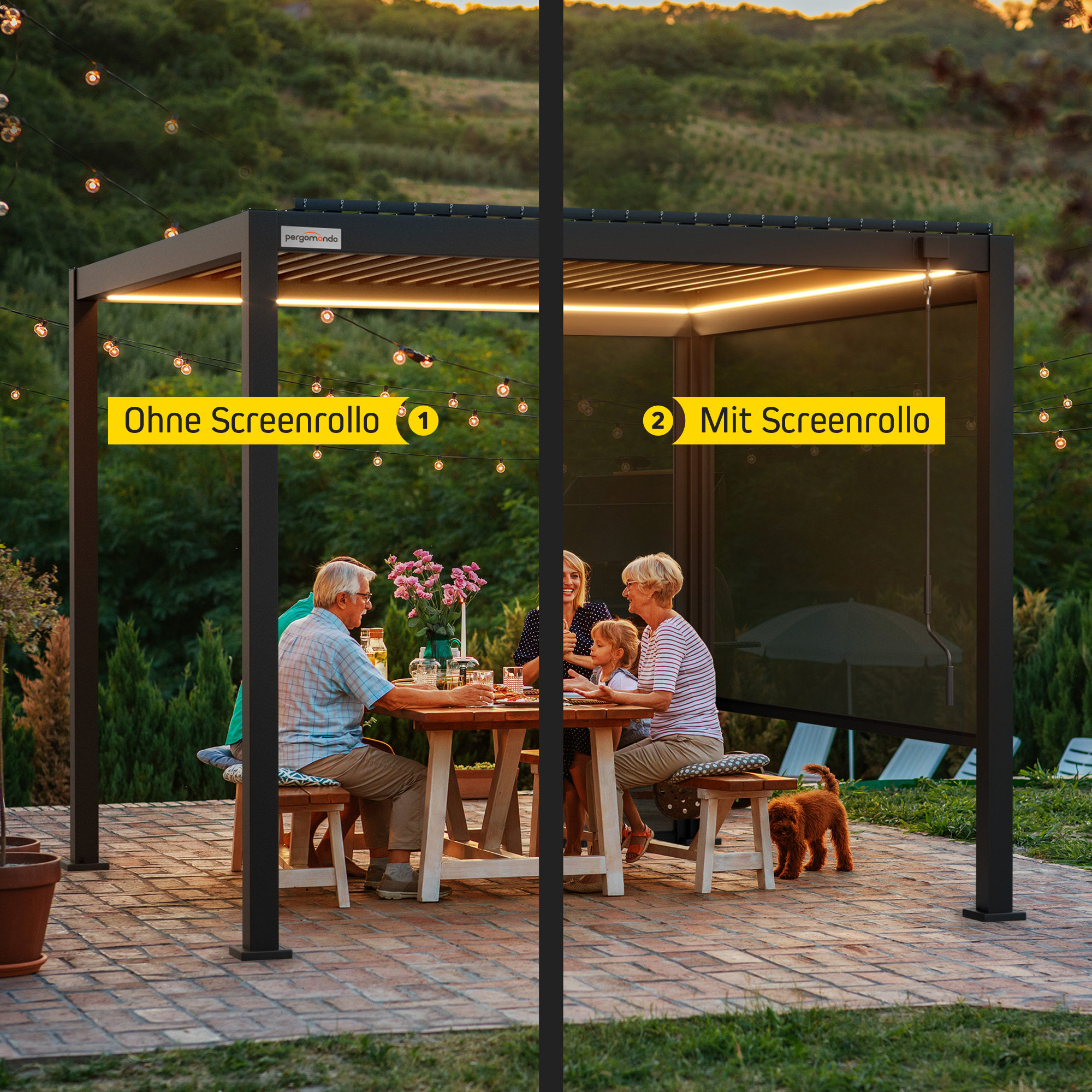 Pergola mit Lamellendach | 3 x 6 m, anthrazit 