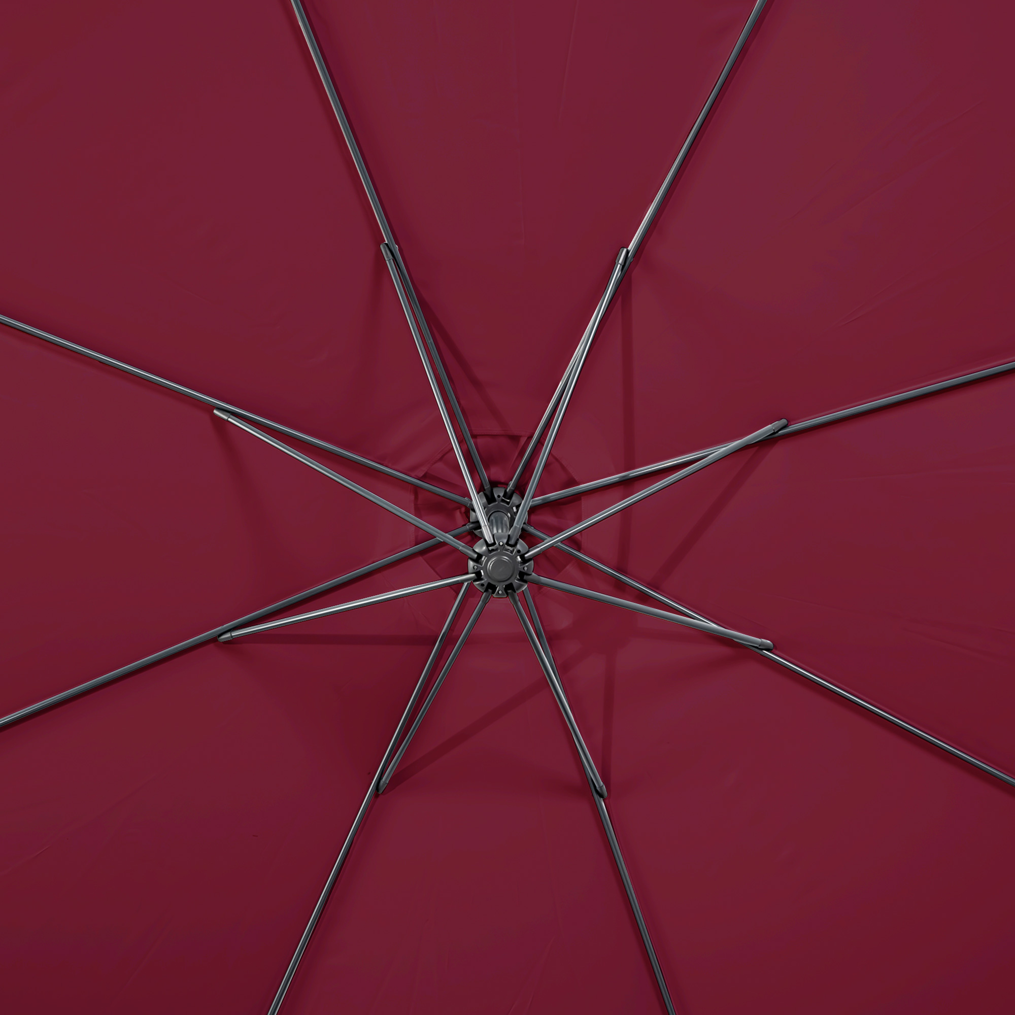 slider_image_019841951e04703890445dea2f8df1c7