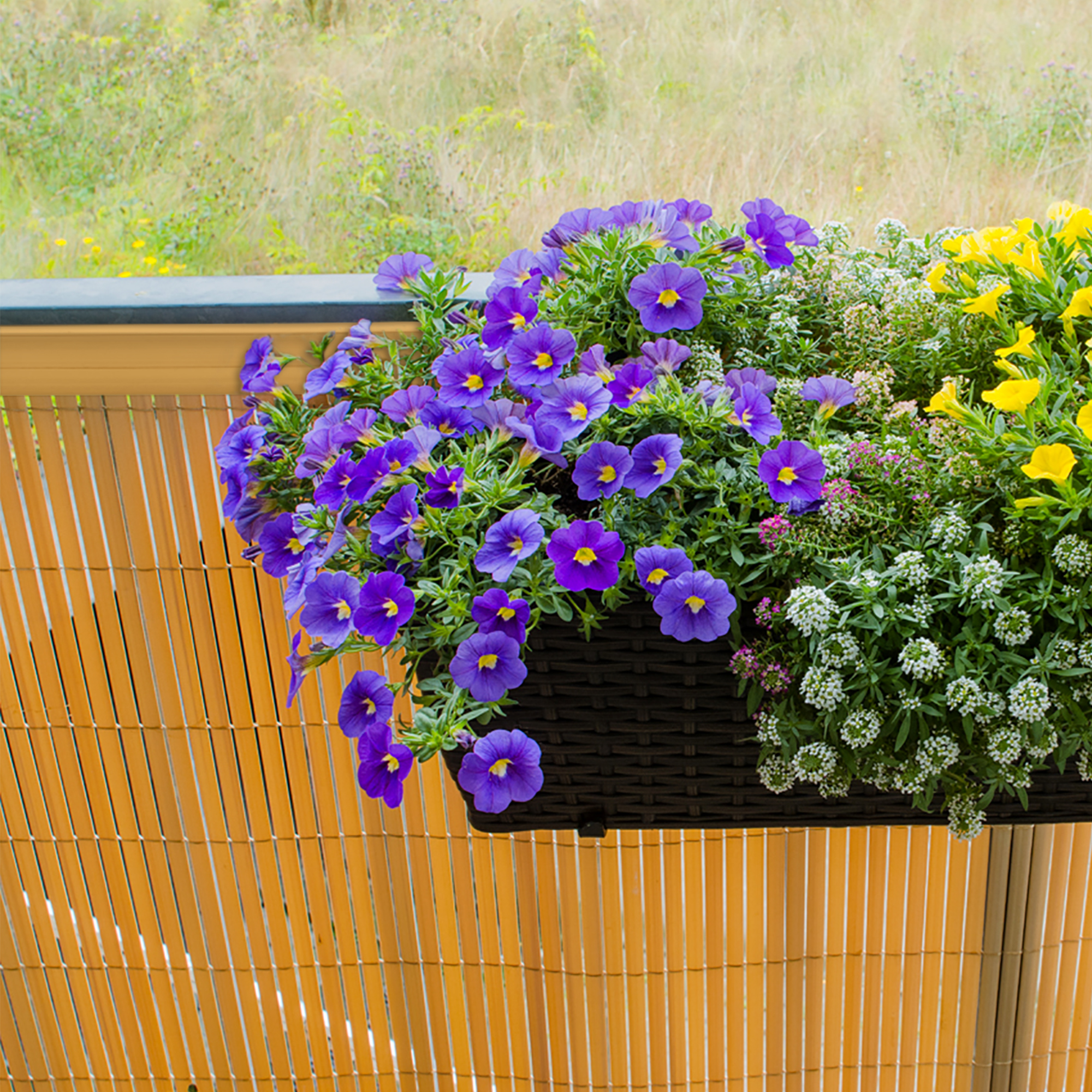 PVC Abdeckprofil auf Sichtschutzmatte mit Blumenkasten im Vordergrund