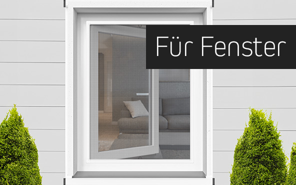 Insektenschutz für Fenster