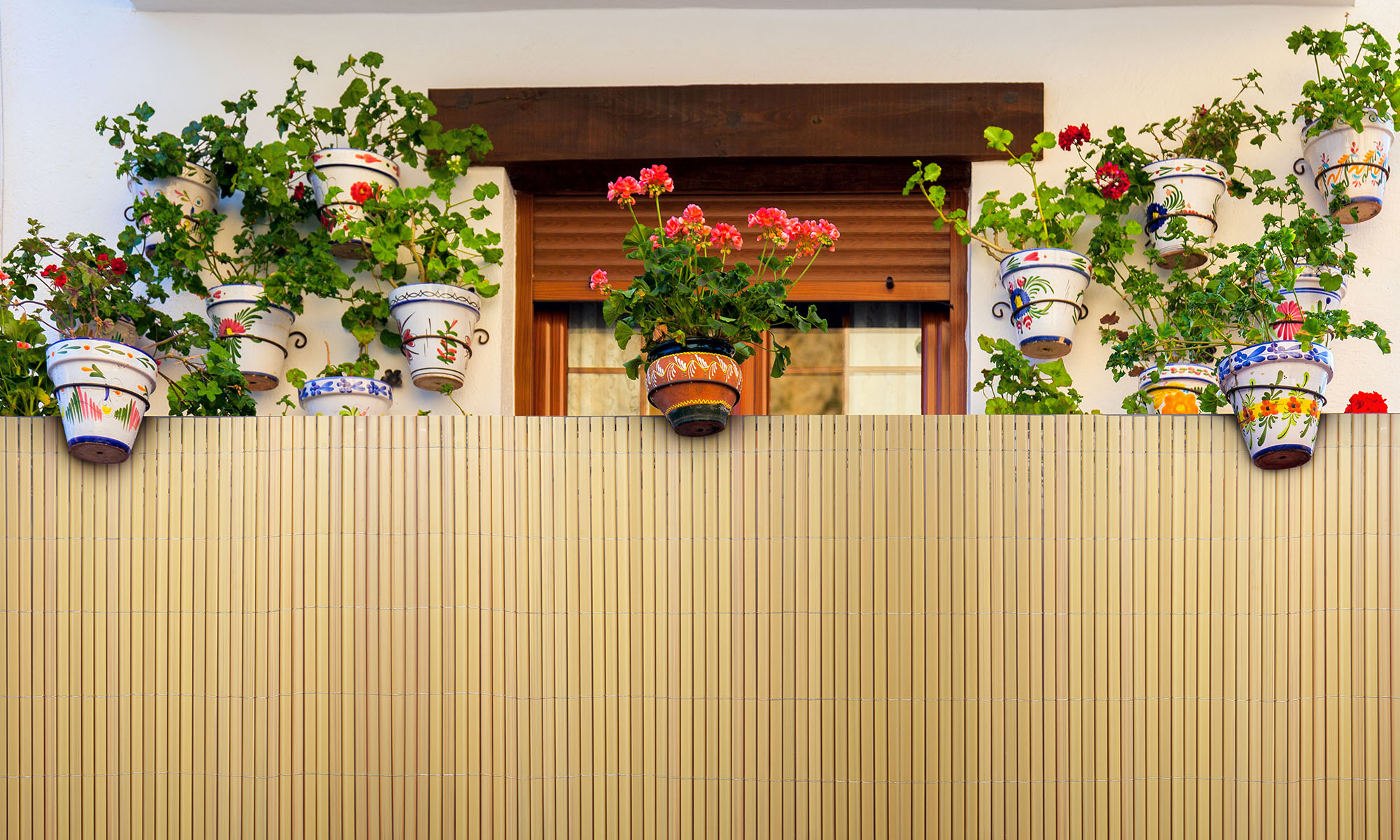 slider_image_0198421a8aca734a8531f45da102e580