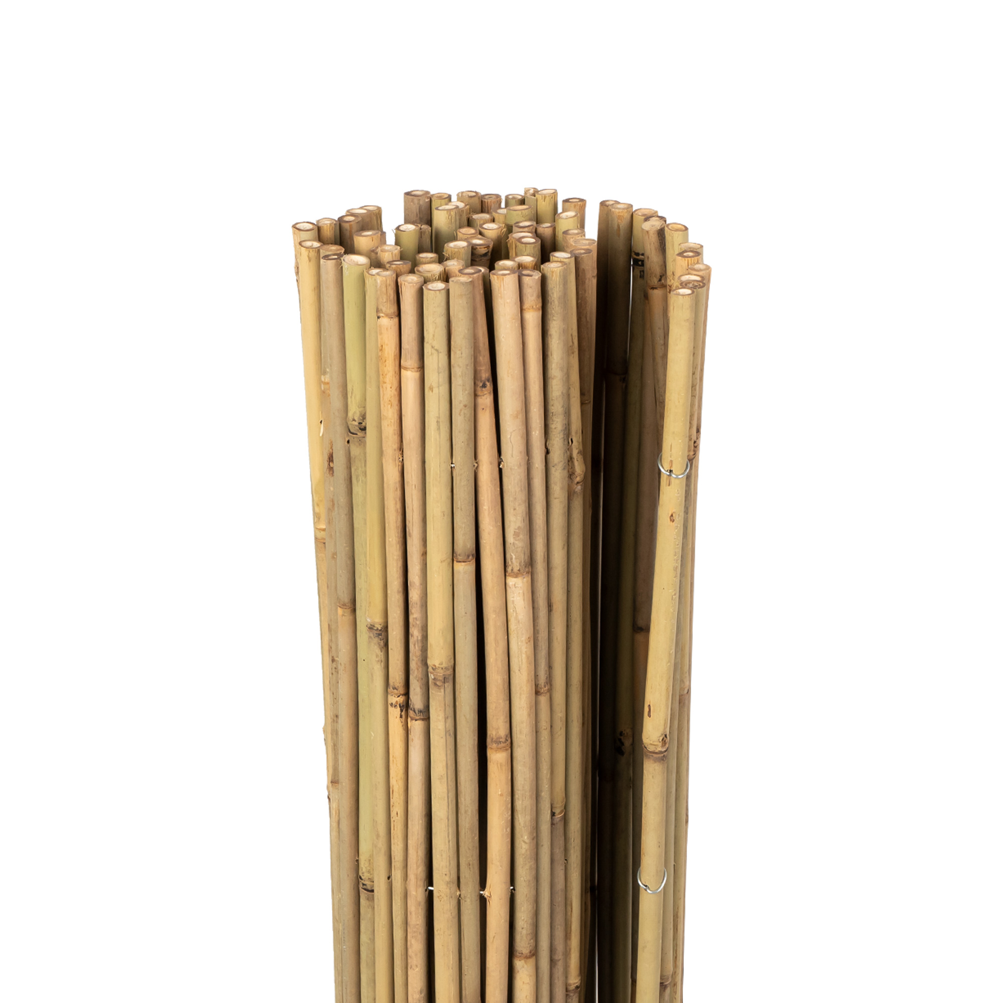 Canniccio in bambù giardino Premium (Modello a scelta)